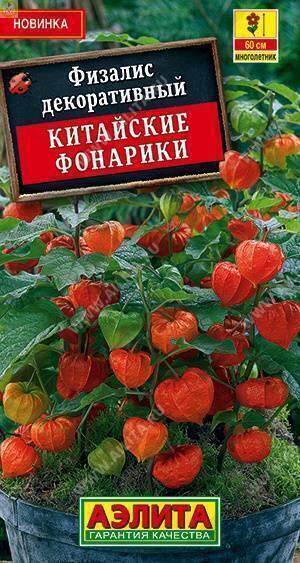 Купить оптом в Ботанике семена Физалис Китайские фонарики Аэл бренд Аэлита