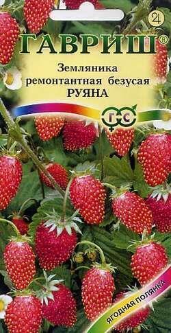 Купить оптом в Ботанике семена Земляника Руяна Гав бренд Гавриш
