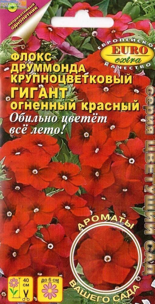 Купить оптом в Ботанике семена Флокс Гигант огненный красный Аэл бренд Аэлита
