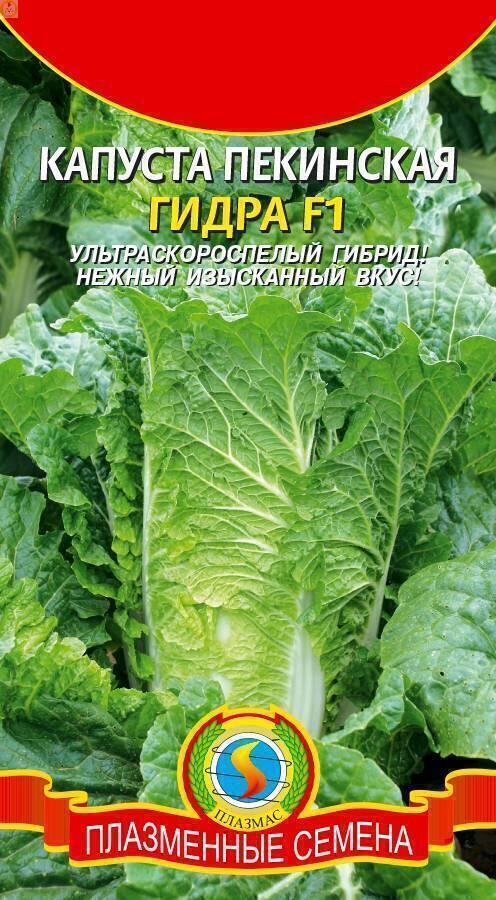 Купить оптом в Ботанике семена Капуста пекинская Гидра F1 Плз бренд Плазмас