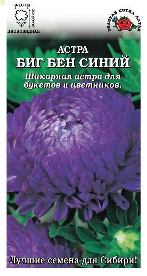 Купить оптом в Ботанике семена Астра Биг Бен синий ЗС бренд Золотая сотка