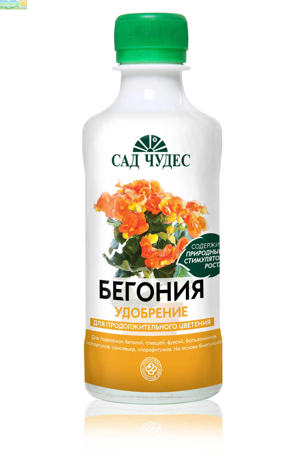 Купить оптом в Ботанике Бегония 0,25 л (20)