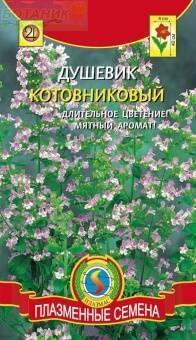 Купить оптом в Ботанике семена Душевик Котовниковый Плз бренд Плазмас