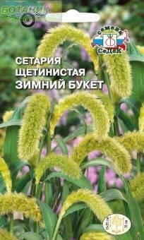 Купить оптом в Ботанике семена Сетария Зимний букет Сед бренд СеДеК