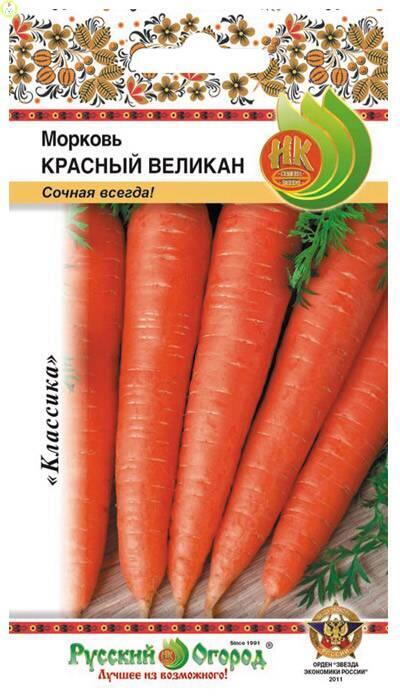 Купить оптом в Ботанике семена Морковь Красный великан НК бренд НК
