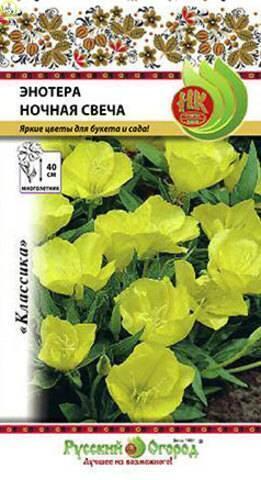 Купить оптом в Ботанике семена Энотера Ночная свеча НК бренд НК