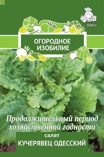Купить оптом в Ботанике семена Салат Кучерявец Одесский Поиск бренд Поиск