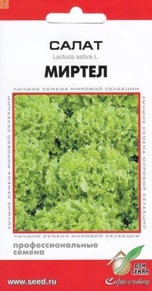 Купить оптом в Ботанике семена Салат Миртел ССО бренд Сортсемовощ
