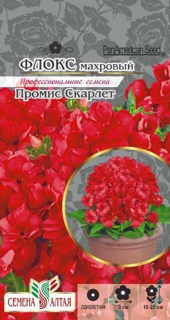 Купить оптом в Ботанике семена Флокс Промис скарлет СА бренд Семена Алтая