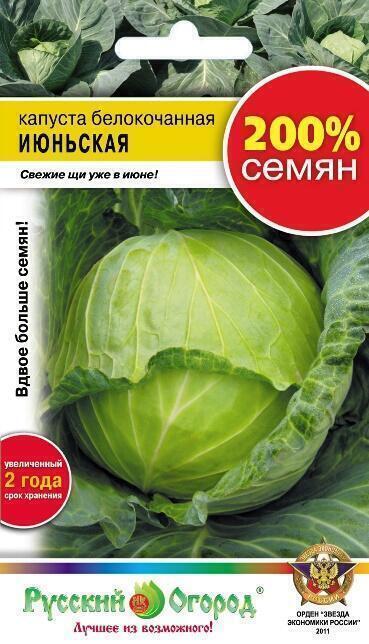 Купить оптом в Ботанике семена Капуста белокочанная Июньская 200% НК бренд НК
