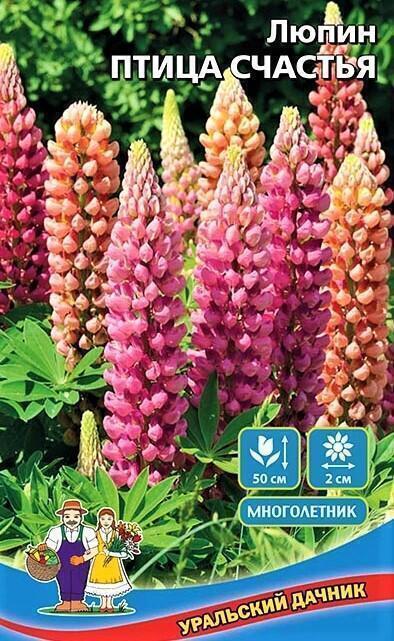 Купить оптом в Ботанике семена Люпин Птица Счастья УД бренд Уральский дачник