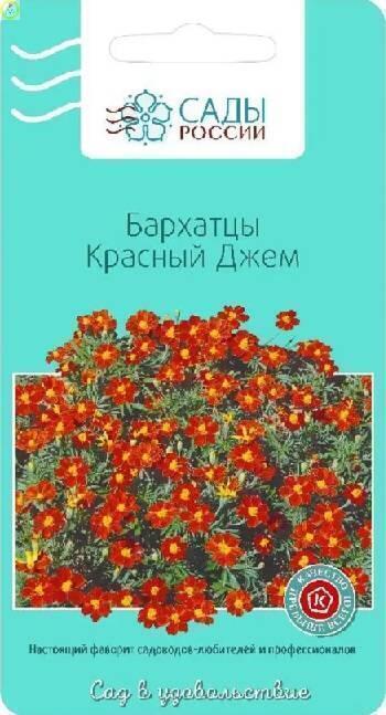 Купить оптом в Ботанике семена Бархатцы Красный Джем СиО бренд Сад и огород