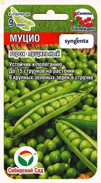Купить оптом в Ботанике семена Горох Муцио СС бренд Сиб.сад