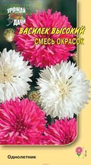 Купить оптом в Ботанике семена Василек Смесь окрасок УУ бренд Урожай Удачи