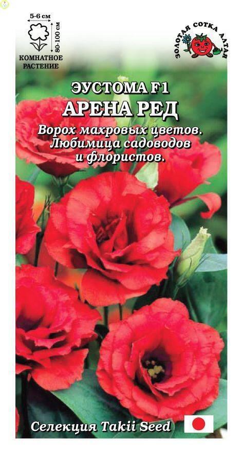 Купить оптом в Ботанике семена Бархатцы Мериголд смесь ЗС бренд Золотая сотка
