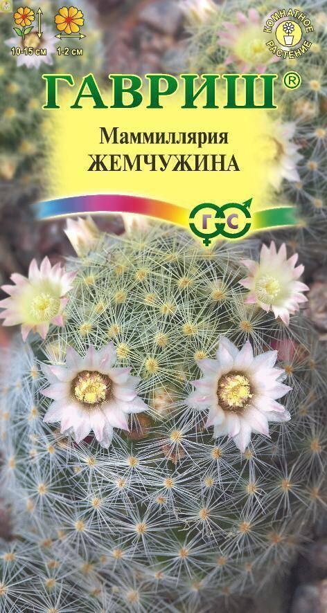 Купить оптом в Ботанике семена Маммиллярия Жемчужина шейдвелардиана Гав бренд Гавриш