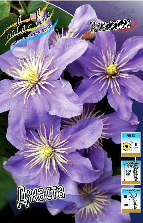 Купить оптом в Ботанике Клематис Джаста 2 шт