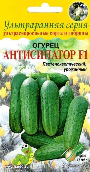Купить оптом в Ботанике семена Огурец Антисипатор F1 ССО бренд Сортсемовощ