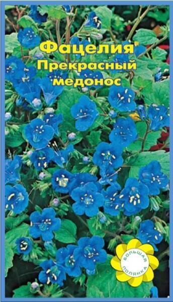 Купить оптом в Ботанике семена Фацелия Голубая УУ бренд Урожай Удачи