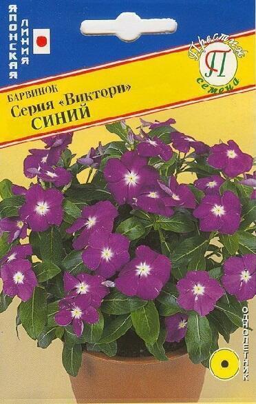 Купить оптом в Ботанике семена Барвинок Виктори Синий Прес бренд Престиж