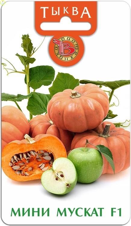 Купить оптом в Ботанике семена Тыква Мускат мини F1 Био бренд Биотехника