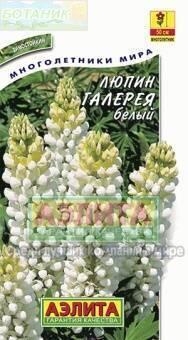Купить оптом в Ботанике семена Люпин Галерея белый Аэл бренд Аэлита