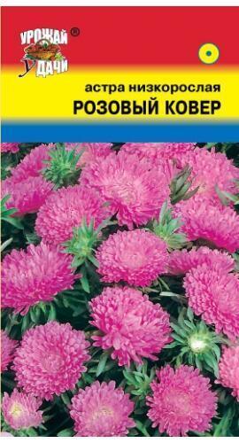 Купить оптом в Ботанике семена Астра Розовый ковер УУ бренд Урожай Удачи