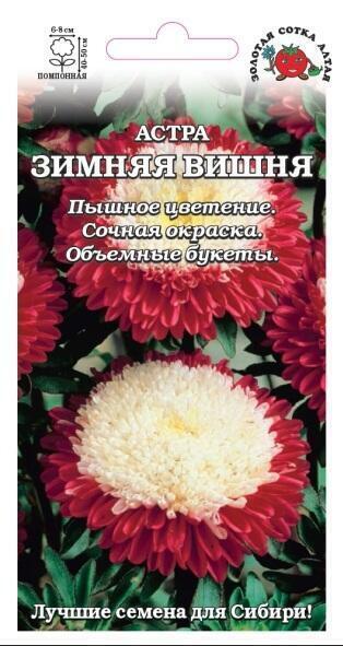 Купить оптом в Ботанике семена Астра Зимняя вишня ЗС бренд Золотая сотка