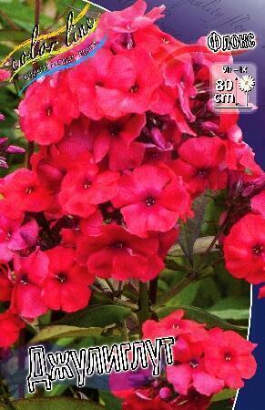 Купить оптом в Ботанике Флокс Джулиглут 2 шт