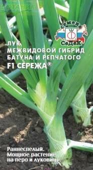 Купить оптом в Ботанике семена Лук батун Сережа Сед бренд СеДеК