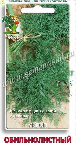 Купить оптом в Ботанике семена Укроп Обильнолистный Поиск бренд Поиск