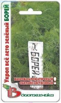 Купить оптом в Ботанике семена Укроп Борей Био бренд Биотехника