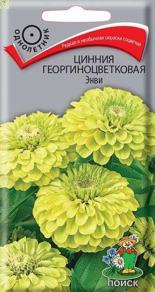 Купить оптом в Ботанике семена Цинния Энви Поиск бренд Поиск