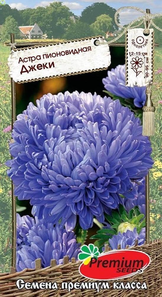 Купить оптом в Ботанике семена Астра Джеки ПС бренд Премиум Сидс