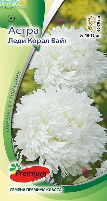 Купить оптом в Ботанике семена Астра Леди корал вайт ПС бренд Премиум Сидс