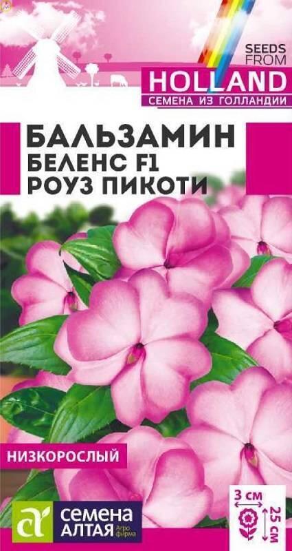 Купить оптом в Ботанике семена Бальзамин Беленс Роуз пикоти СА бренд Семена Алтая