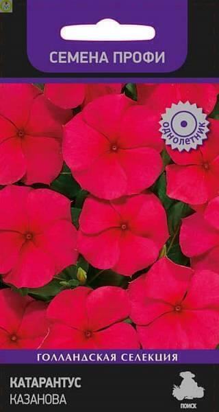 Купить оптом в Ботанике семена Катарантус Казанова Поиск бренд Поиск