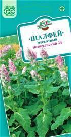 Семена Шалфея Вознесенский мускатный