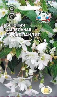 Купить оптом в Ботанике семена Бегония Лапландия ампельная махровая Сед бренд СеДеК
