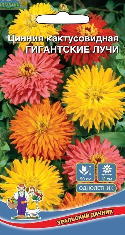 Купить оптом в Ботанике семена Цинния Гигантские лучи УД бренд Уральский дачник