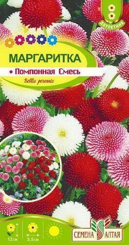 Купить оптом в Ботанике семена Маргаритка Помпонная смесь СА бренд Семена Алтая