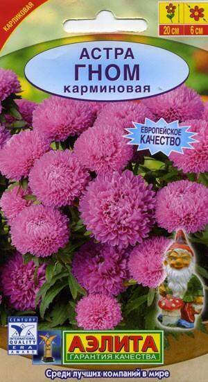 Купить оптом в Ботанике семена Астра Гном карминовая Аэл бренд Аэлита