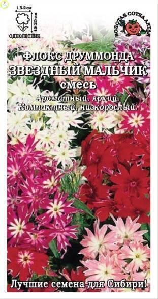 Купить оптом в Ботанике семена Флокс Звездный мальчик ЗС бренд Золотая сотка