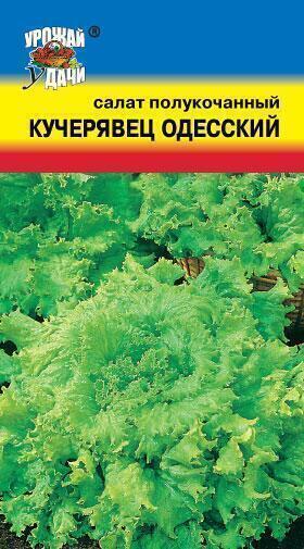 Купить оптом в Ботанике семена Салат Кучерявец Одесский УУ бренд Урожай Удачи