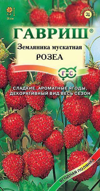 Купить оптом в Ботанике семена Земляника Розеа мускатная Гав бренд Гавриш