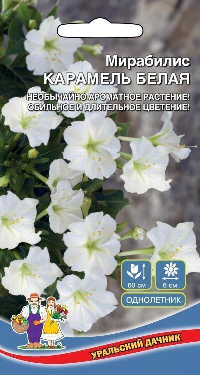 Купить оптом в Ботанике семена Мирабилис Карамель белая УД бренд Уральский дачник