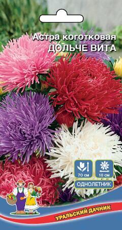 Купить оптом в Ботанике семена Астра Дольче Вита коготковая УД бренд Уральский дачник