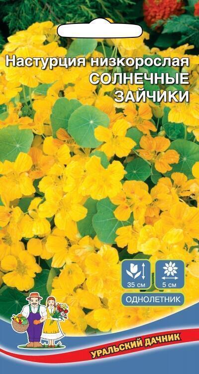 Купить оптом в Ботанике семена Настурция Солнечные зайчики УД бренд Уральский дачник
