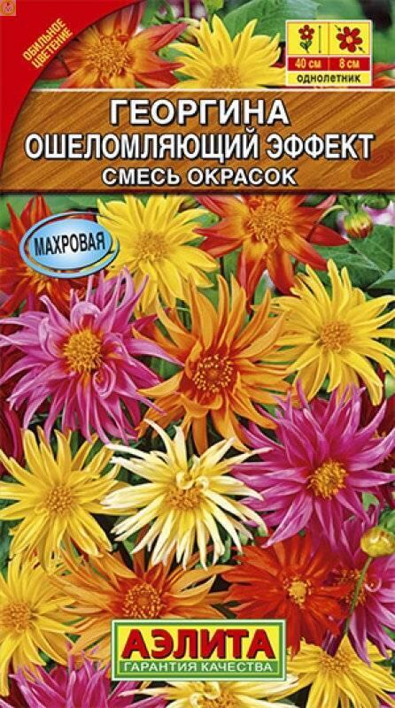 Купить оптом в Ботанике семена Георгина Ошеломляющий эффект Аэл бренд Аэлита