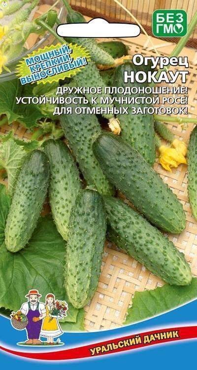 Купить оптом в Ботанике семена Огурец Нокаут УД бренд Уральский дачник